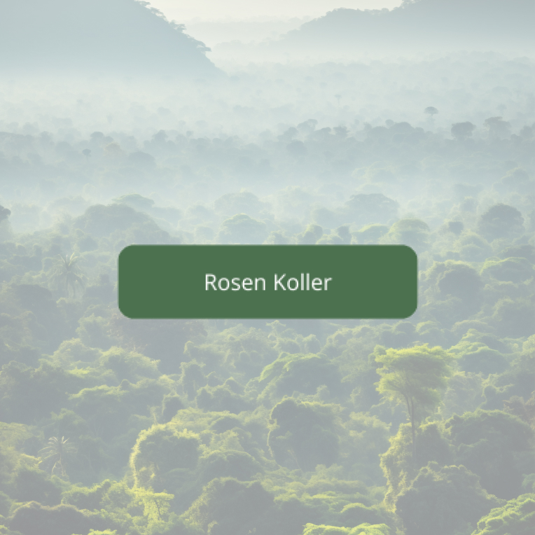 Rosen Koller-Blumenladen